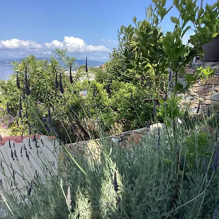 διώροφη κατοικία γλώσσα σκοπέλου Holiday home