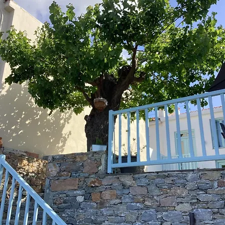διώροφη σκοπέλου غلوسا