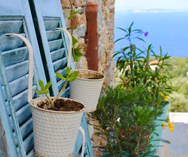 διώροφη γλώσσα σκοπέλου Nyaraló *