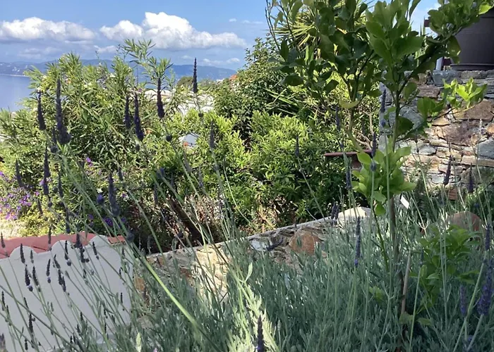 διώροφη γλώσσα σκοπέλου Nyaraló